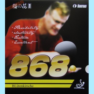 Накладка Kokutaku 868 training (pair)
